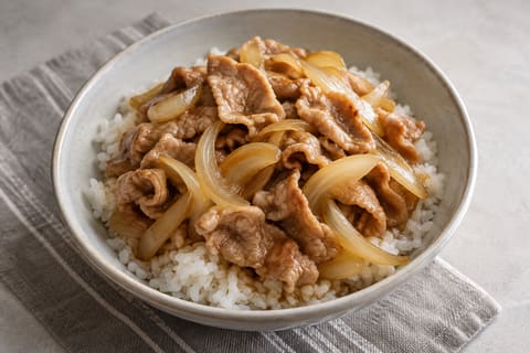 Pork and onion rice plate — finished-dish illustration